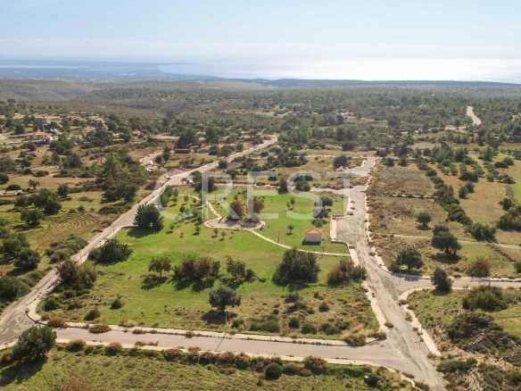 2443c7caP ZANATZIA 40