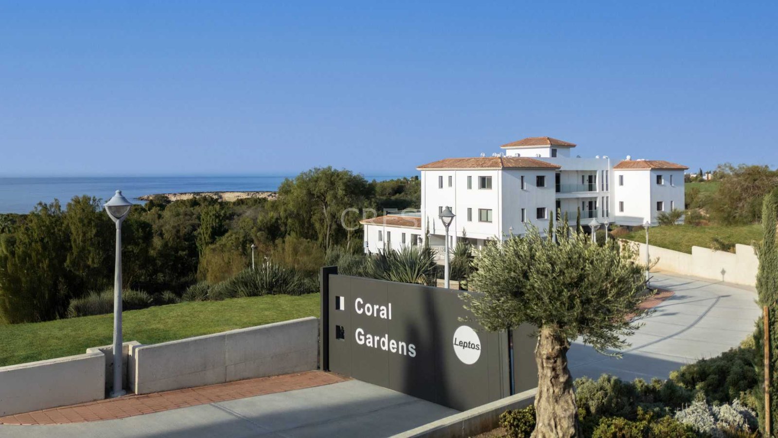 377bf432A-CORALG-B4-304