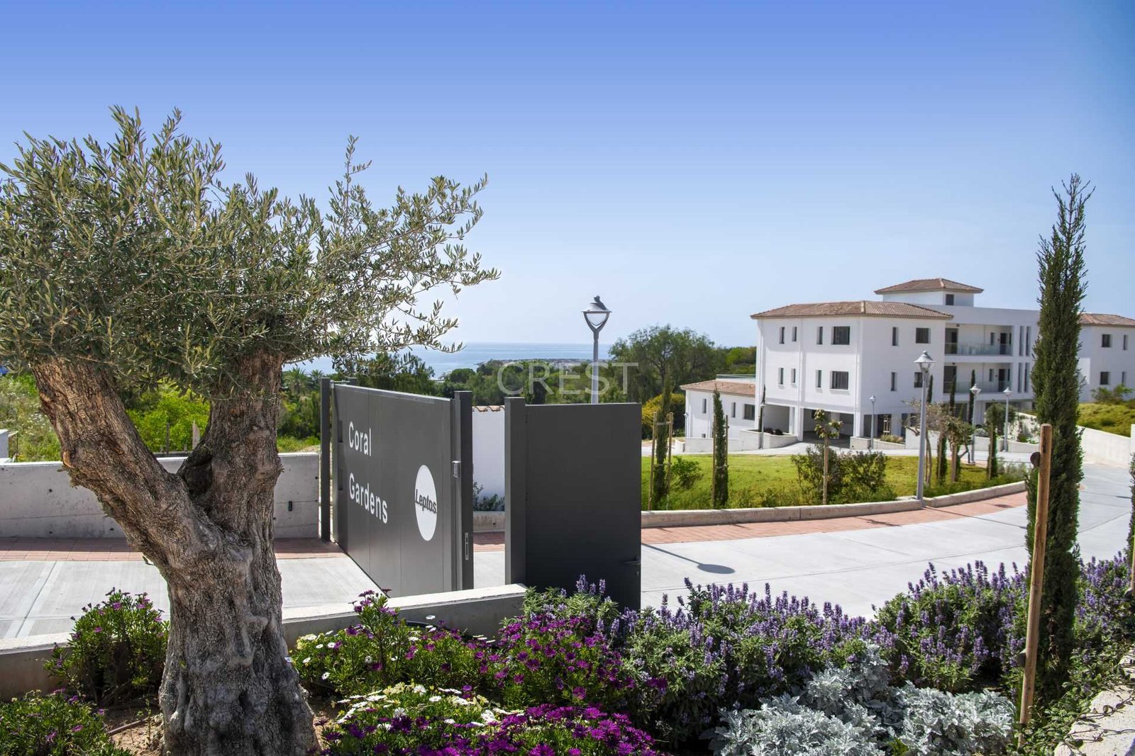 7641eb8cA-CORALG-B4-202