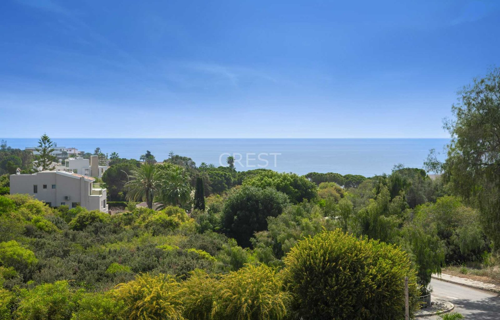 bd17ae0eA-CORALG-B4-204