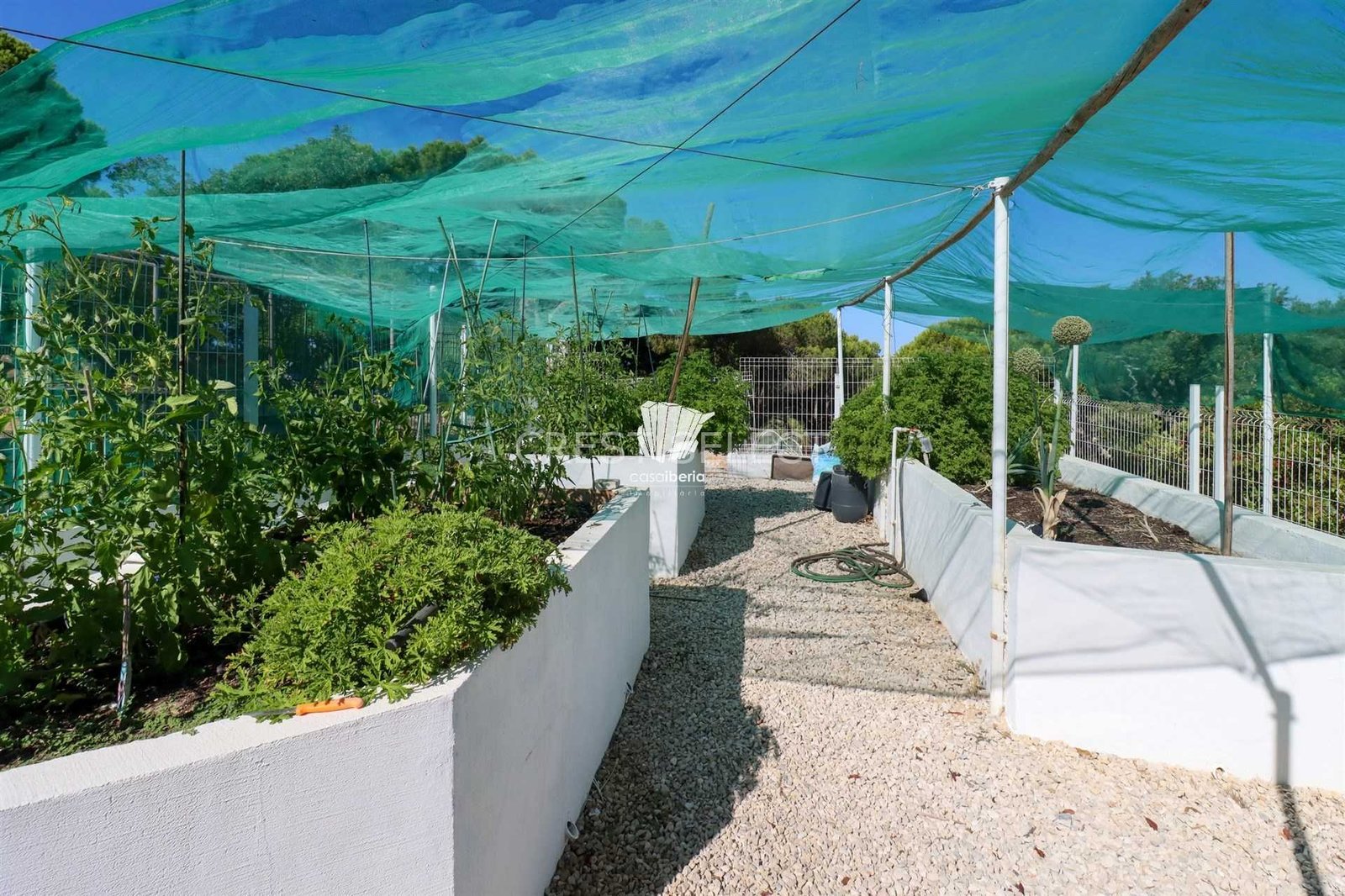 Convenient Family Dwelling House in Faro  with 3 bedrooms