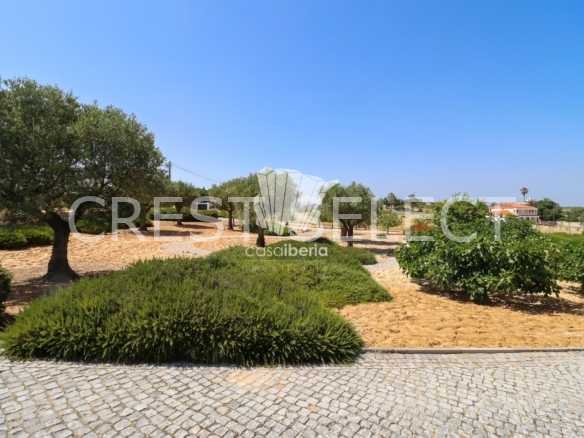 Spacious Family Haven House in Faro  with 4 bedrooms
