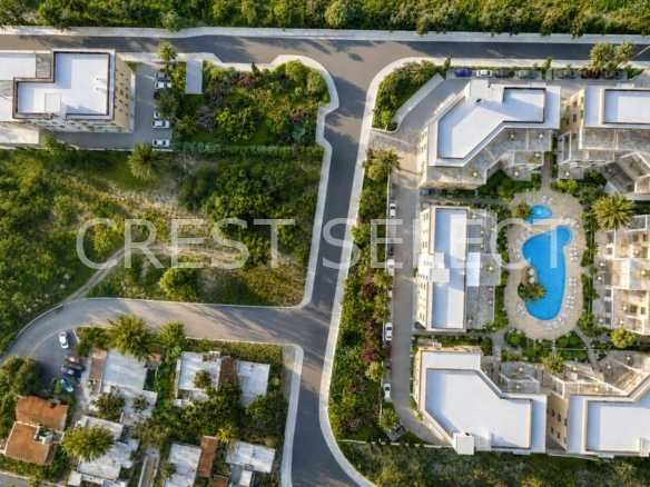 Shops / Commercial Buildings in Geroskipou with 0 bedrooms