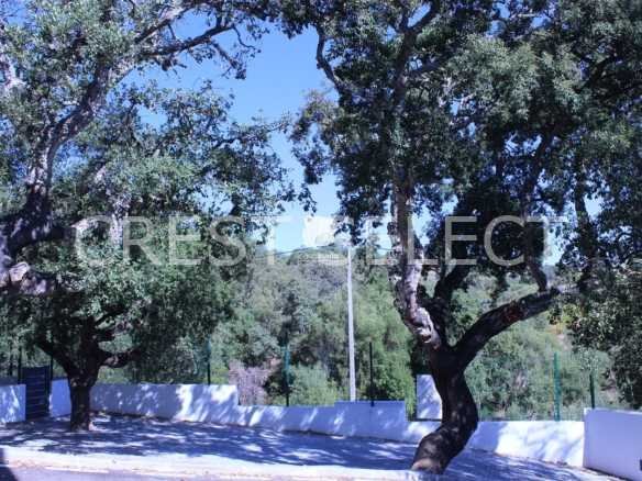 Custom Family Residence House in Faro  with 5 bedrooms