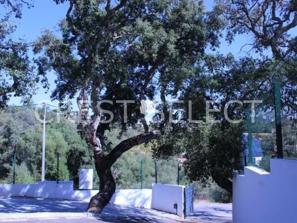 Custom Family Residence House in Faro  with 5 bedrooms