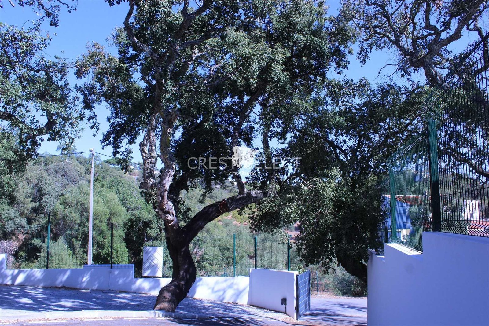 f6455c8c4956 Custom Family Residence House in Faro with 5 bedrooms